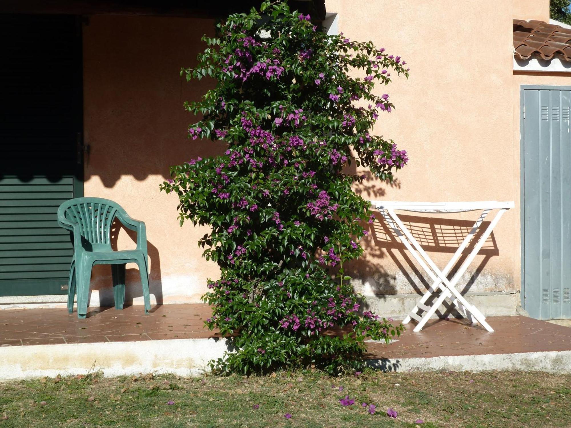Agriturismo Vaddidulimu Луогозанто Экстерьер фото