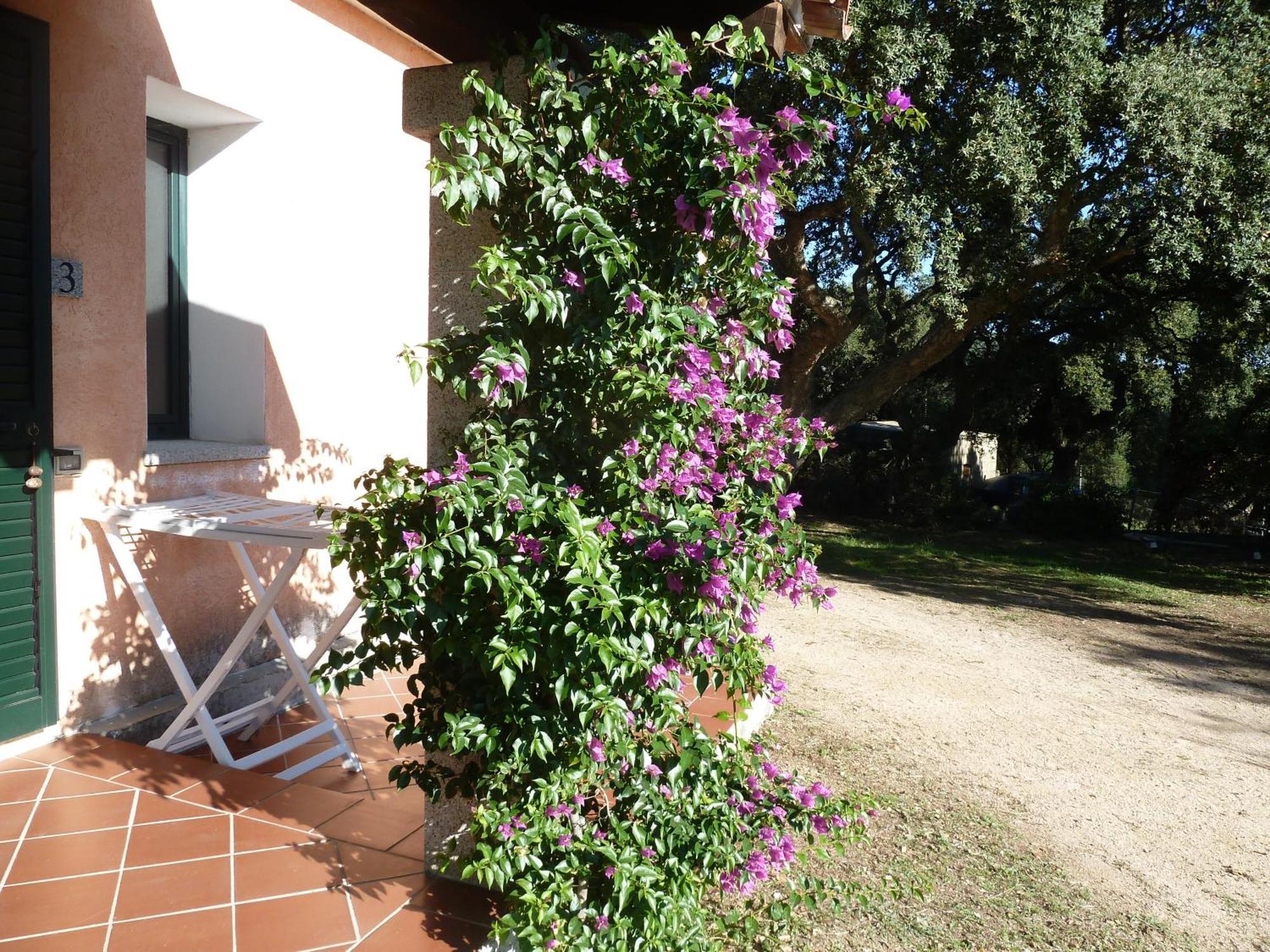 Agriturismo Vaddidulimu Луогозанто Экстерьер фото